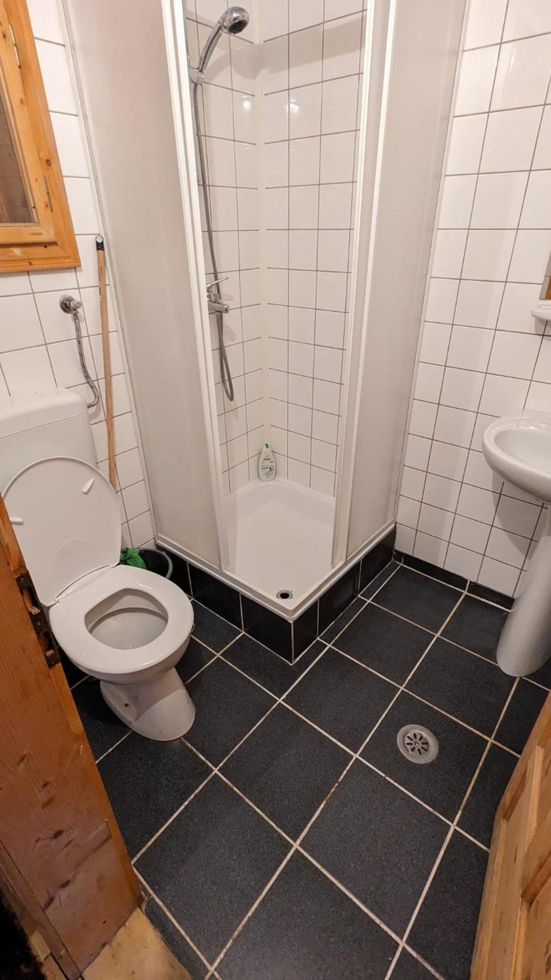 Villa Alvik Geoagiu Băi Zewnętrze zdjęcie