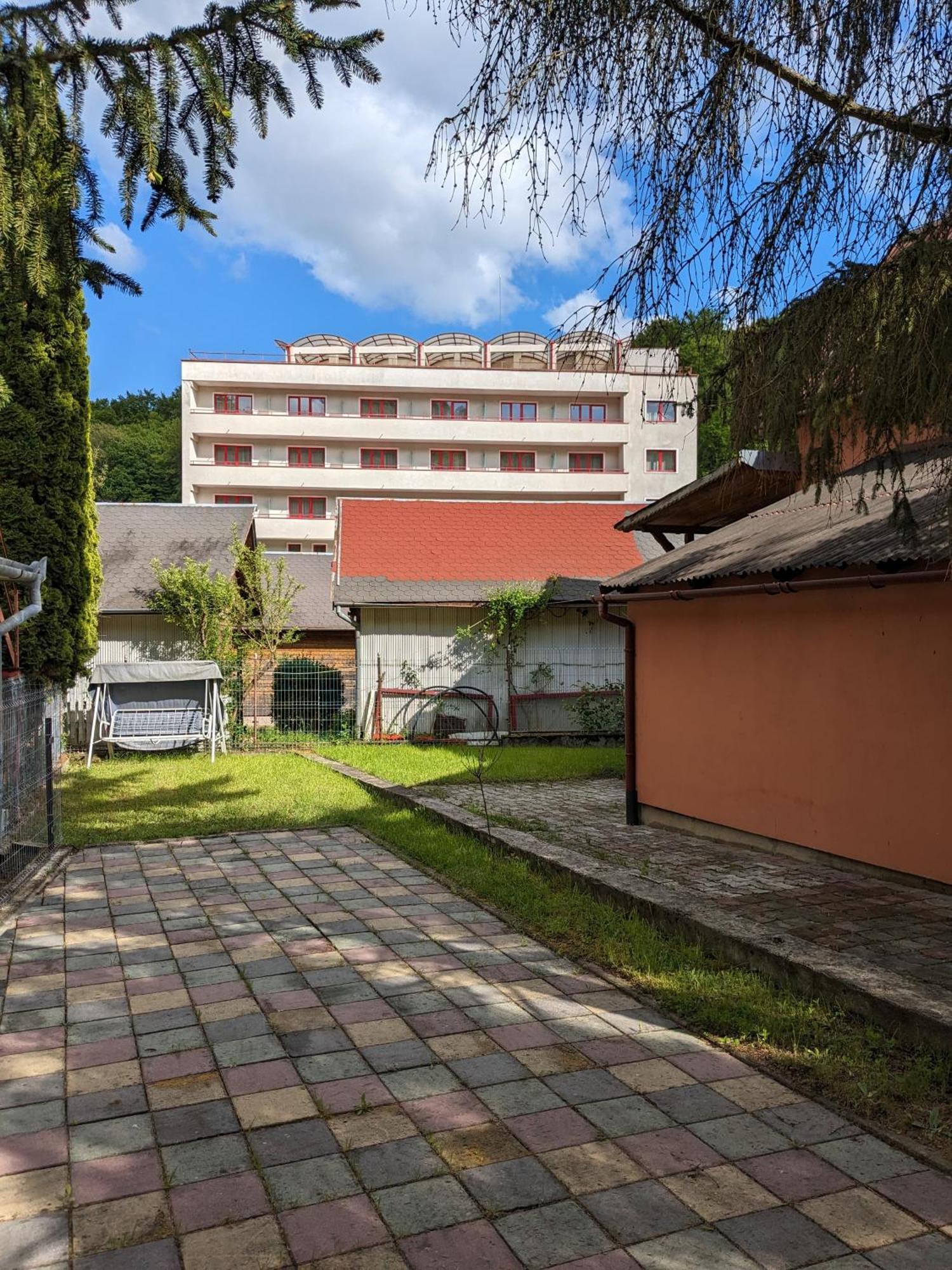 Villa Alvik Geoagiu Băi Zewnętrze zdjęcie