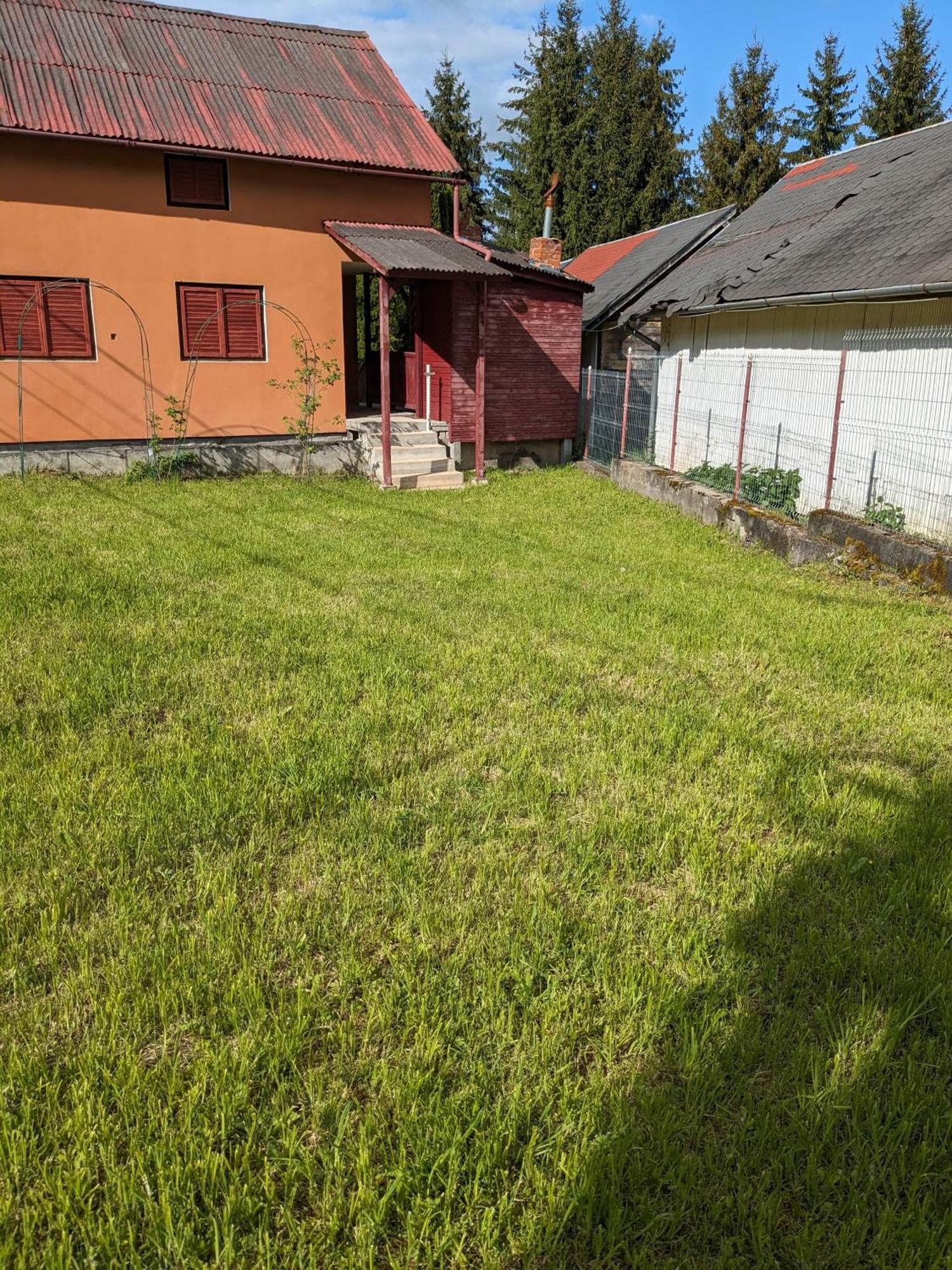 Villa Alvik Geoagiu Băi Zewnętrze zdjęcie
