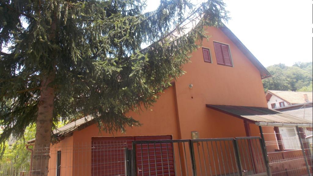 Villa Alvik Geoagiu Băi Zewnętrze zdjęcie