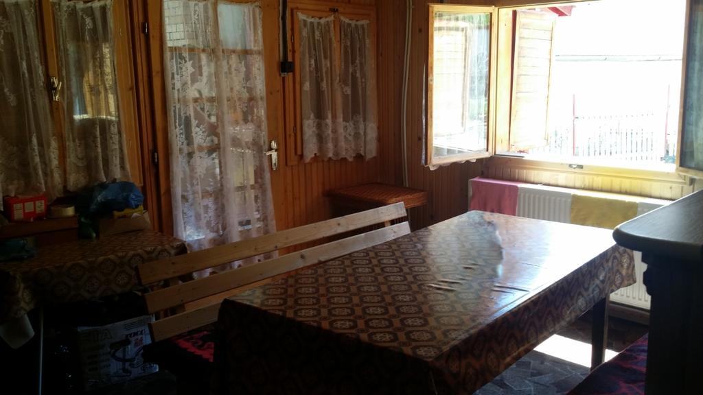 Villa Alvik Geoagiu Băi Zewnętrze zdjęcie