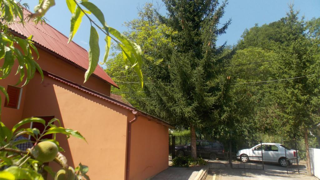 Villa Alvik Geoagiu Băi Zewnętrze zdjęcie